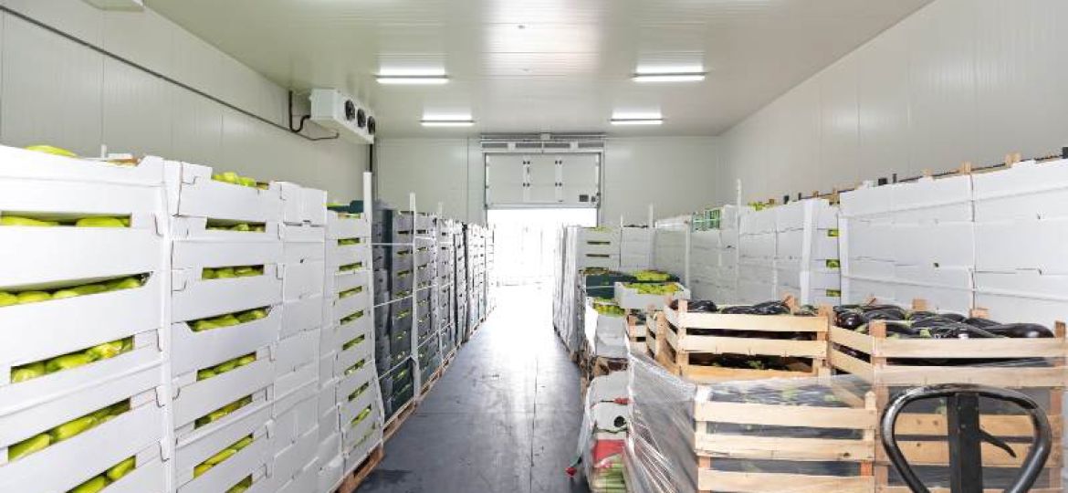 cold-storage-warehouse
